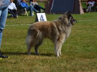03a BestVet TV Electra von Güldenwerth